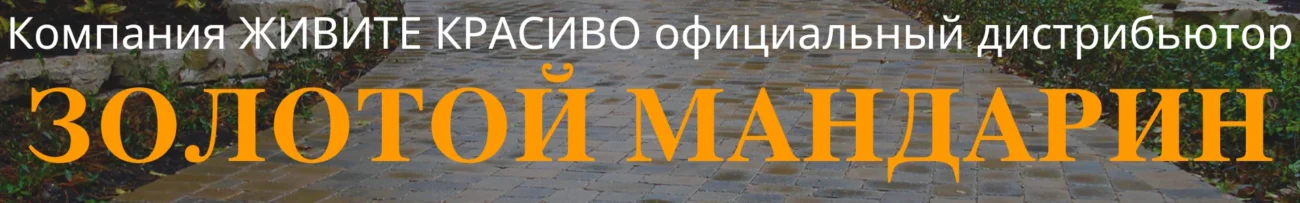 Банер Золотой Мандарин