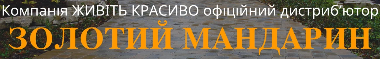 Банер Золотий Мандарин