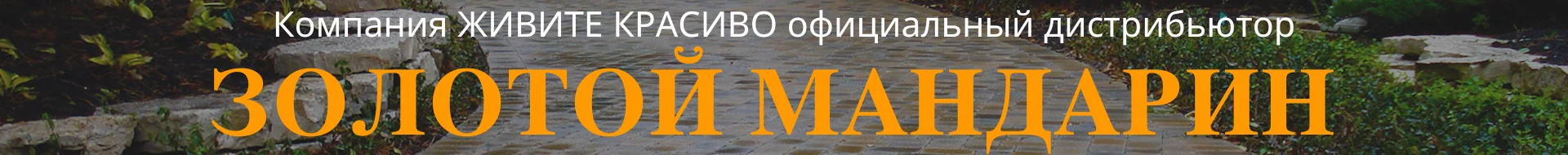 Банер Золотой Мандарин