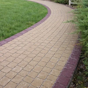 Креатив гірчичний