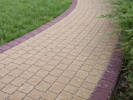 Креатив гірчичний