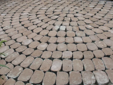 Маргарита Антик персиковий