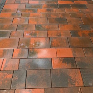 Патерн болонья