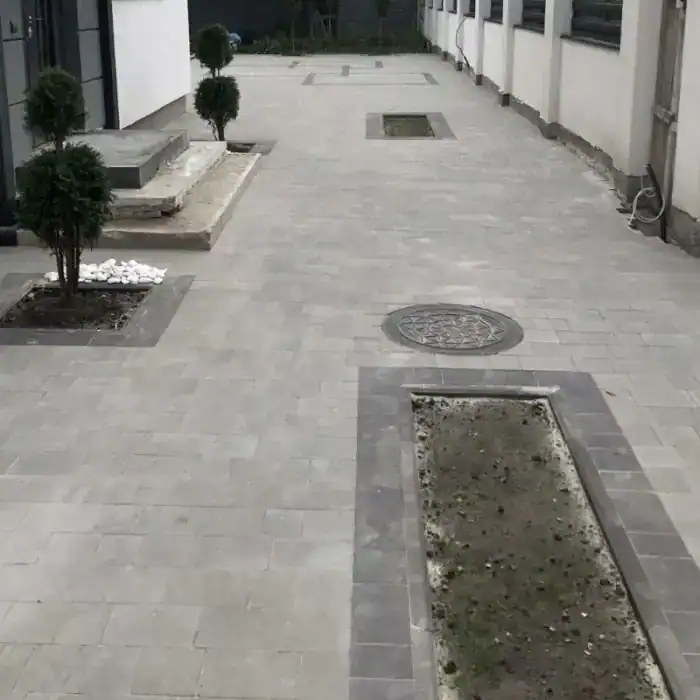 Плац сірий