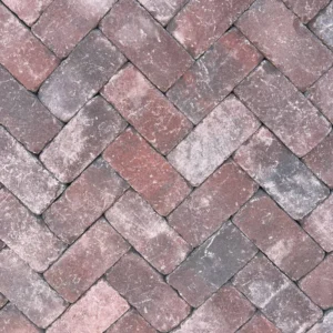 Роттердам Антик болонья