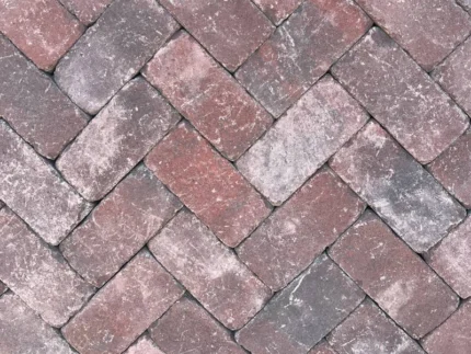 Роттердам Антик болонья