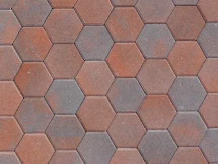 Сота болонья