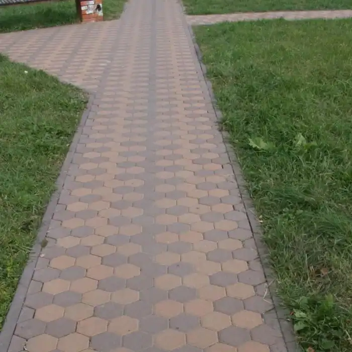 Тротуарна плитка СОТА фото 26 | Золотий Мандарин