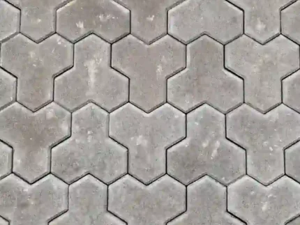 Тригран сірий