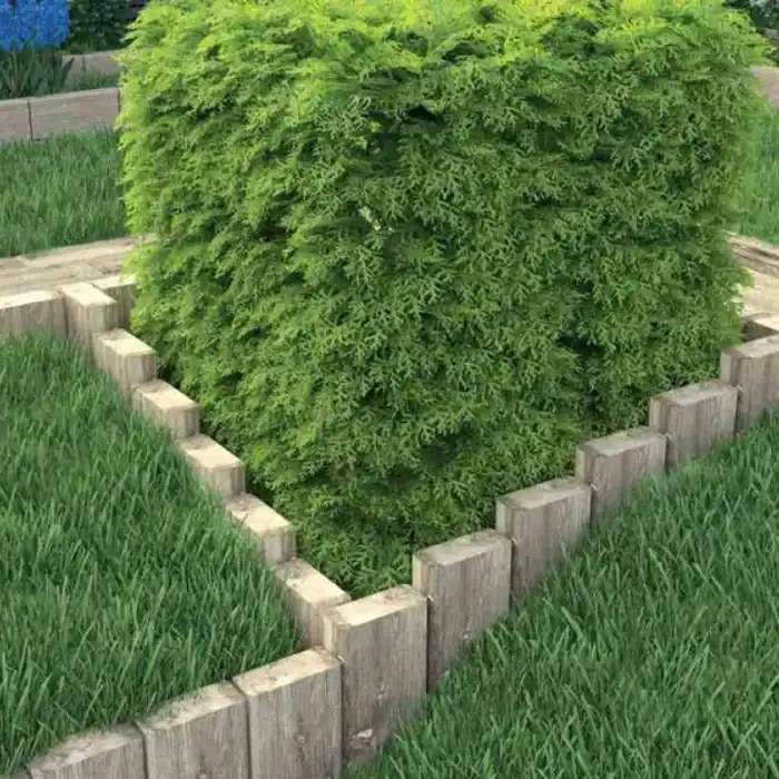 Бордюр парковий Форест