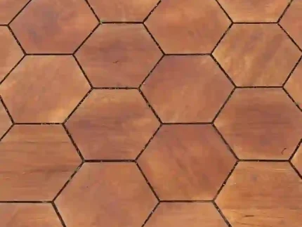 Сота форест онтаріо