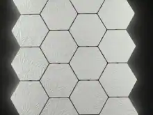 Сота Флор h-60
