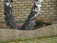 Стовбчик декоративний