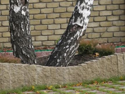 Стовбчик декоративний