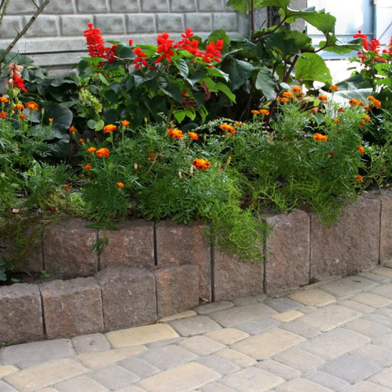 stovbchik_ (7) Стовбчик декоративний