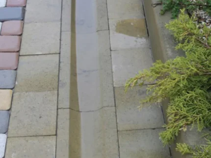 Тротуарна плитка Отлив купити Київ | Золотий Мандарин