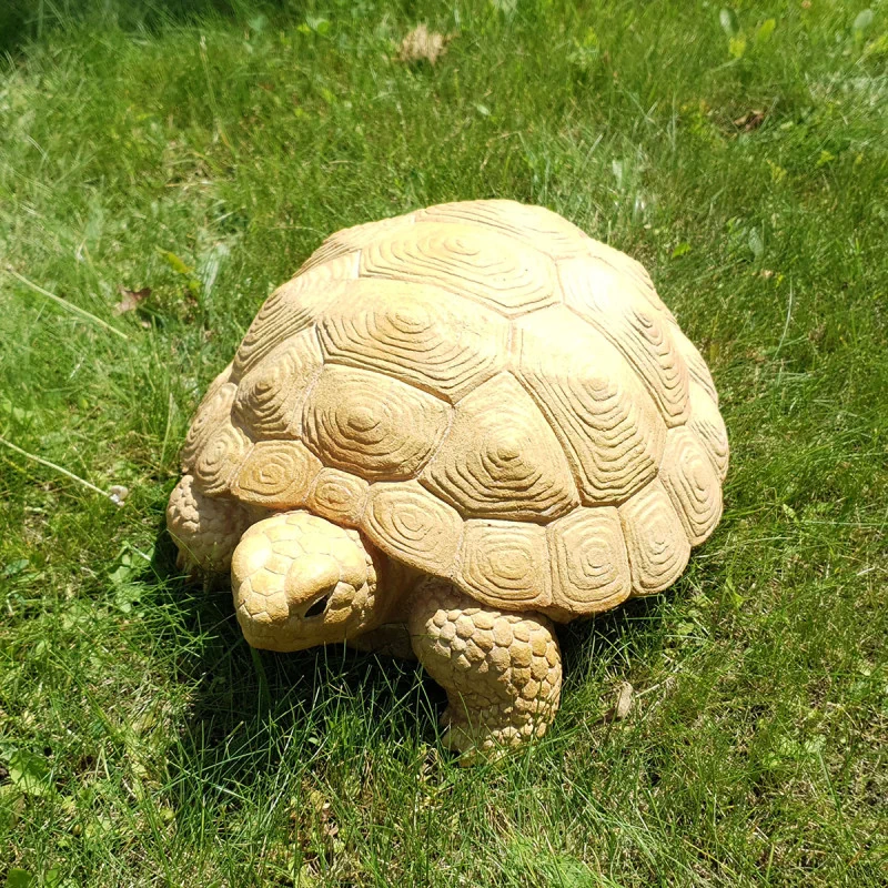 cherepaha-800x800 Тротуарная плитка Черепаха купить Киев | Золотой Мандарин