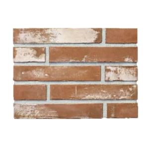 Тротуарная плитка Леванто Фасадная плитка купить Киев | Золотой Мандарин