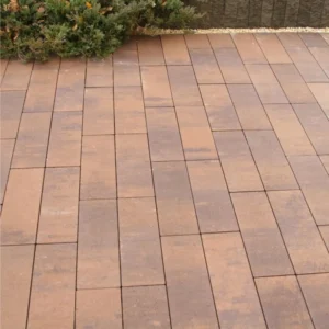 Тротуарна плитка Тротуарная плитка ПАРКЕТ купити Київ | Золотий Мандарин