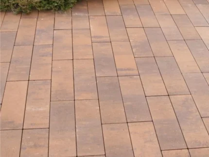 Тротуарна плитка Паркет купити Київ