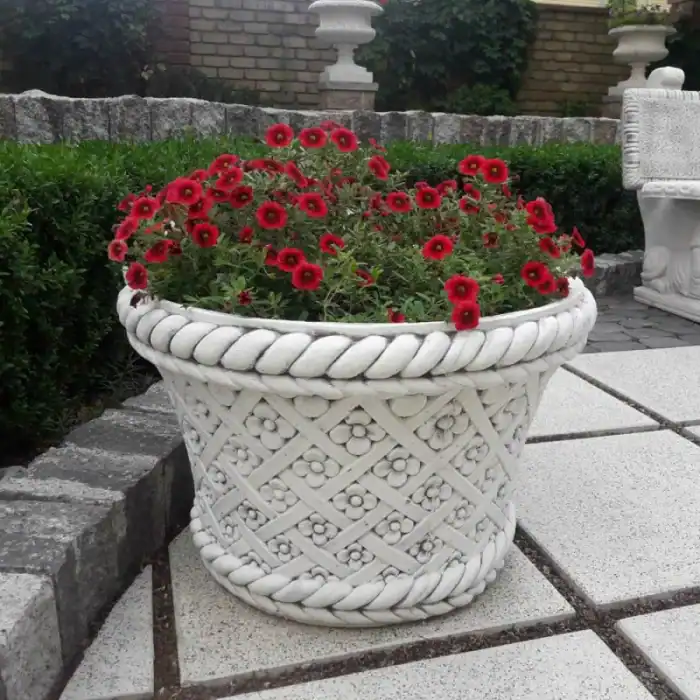 Квітник Стела